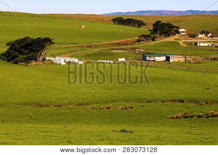Rural Ranchlands On Lush Green Grasslands Taken At A Rural Plateau In The Northern California Coast 