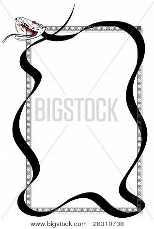 毒ヘビ フレーム