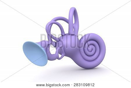3d Rendered Inner Ear. Cochlea Isolated On A White Background