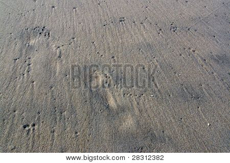 sand