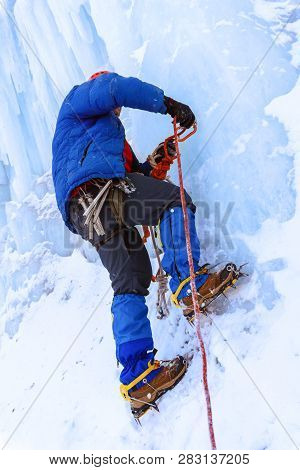 Ice Climber Preraring Running Belay, Screwing Ice Screw Into Glacier Surface