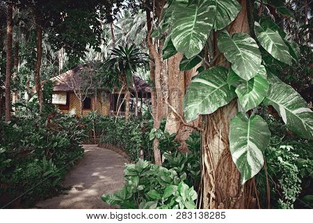 Bamboo House, Bungalow, From Natural Wood Tree On The Tropical Island Bali, Indonesia