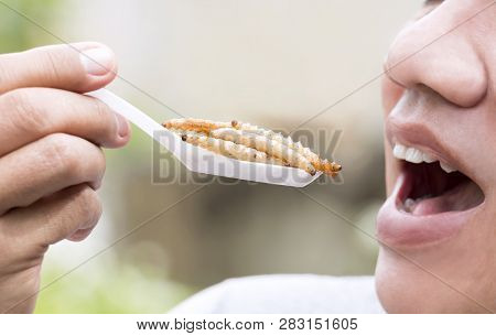 Food Insects: Man Eating Bamboo Worm Insect On Spoon. Bamboo Caterpillar Is Good Source Of Protein E