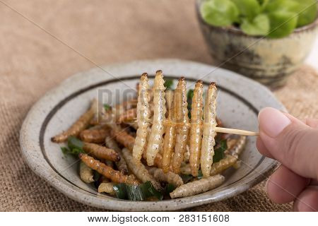Food Insects: Woman's Hand Holding Bamboo Worm Caterpillar Insect Fried Crispy For Eating As Food It