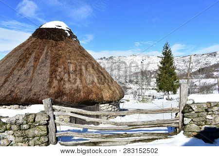 Piornedo, Ancares, Lugo Province, Galicia, Spain. Ancient palloza house made with stone and straw with spruce and snowy field and mountains. Blue sky, sunny day.