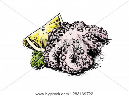 Drawing Of Octopus With Fresh Lemon And Leaf Of Parsley