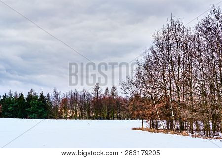 White Snow On Field By Trees In Field