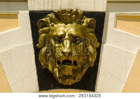 The Golden Head Of The Lion The Arboretum The City Of Sochi 17.07.2011