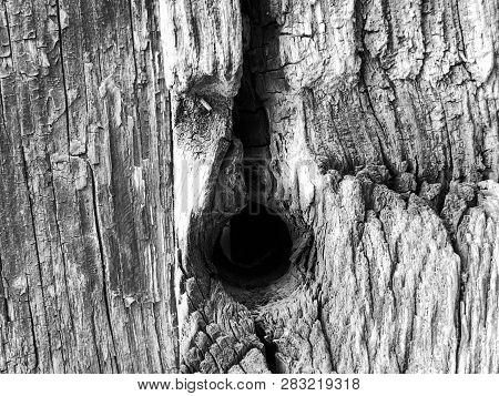 The Structure Of Wooden Fence. Shot From Close View.