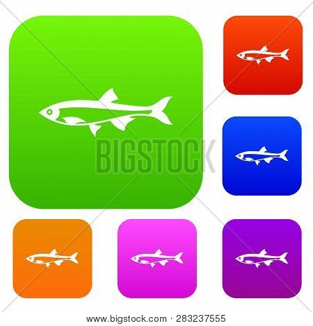 Herring Fish Set Icon In Different Colors Isolated Illustration. Premium Collection