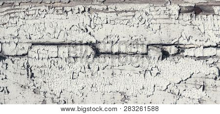 Old Wood Texture. Grunge Wooden Background, White Paint And Cracks.