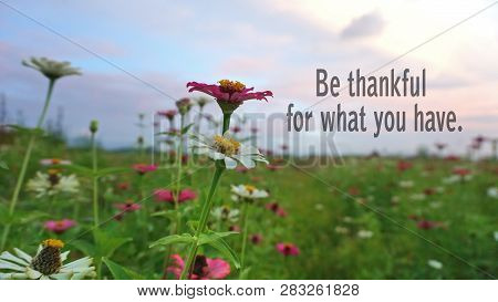 Inspirational Quote-be Thankful For What You Have. With Colorful Zinnia Flowers Garden And Blue Sky 