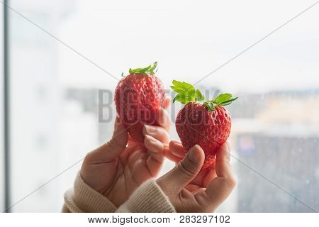Japan Strawberry In Hand