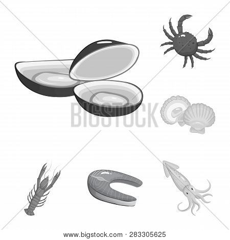 Vector Design Of Seafood And Healthy Symbol. Set Of Seafood And Ocean Vector Icon For Stock.