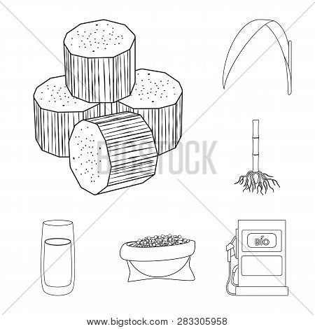 Isolated Object Of Sugar And Field Sign. Collection Of Sugar And Plantation Stock Vector Illustratio