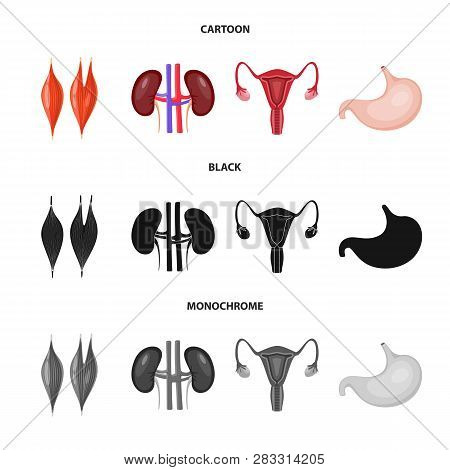 Vector Illustration Of Biology And Scientific Symbol. Set Of Biology And Laboratory Stock Vector Ill