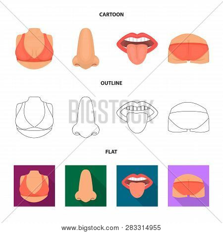 Vector Illustration Of Body And Part Symbol. Set Of Body And Anatomy Vector Icon For Stock.