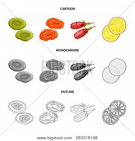 Vector Illustration Of Food  And Raw  Symbol. Set Of Food  And Nature   Stock Vector Illustration.