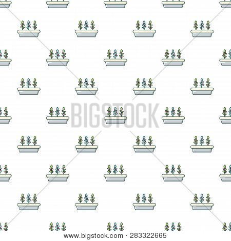 Outdoor Potted Plants Pattern In Cartoon Style. Seamless Pattern Illustration