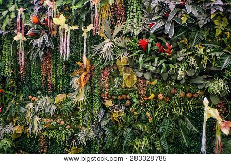 Nside Of Natural Science Museum In Queen Sirikit Botanic Garden At Chiang Mai City Thailand