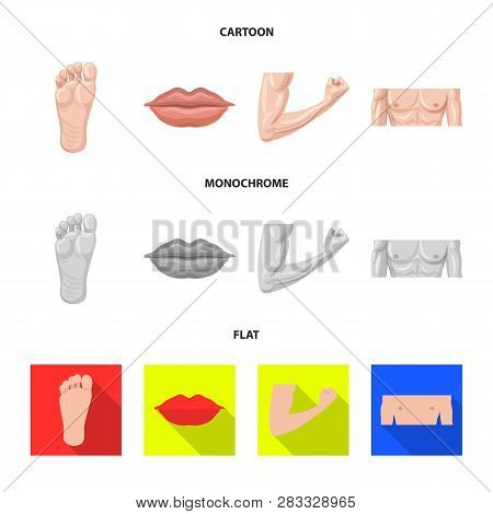 Vector Design Of Human And Part Sign. Set Of Human And Woman Vector Icon For Stock.