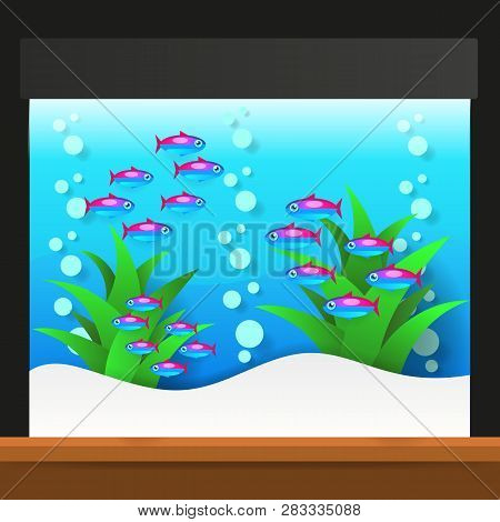Cartoon Freshwater Fishes In Tank Aquarium Vector Illustration. Exotic Cartoon Fish In Aquarium.