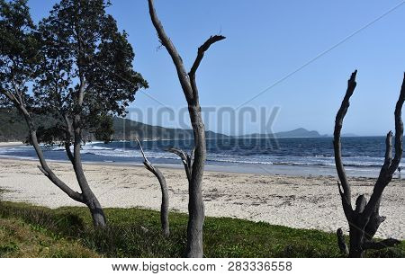 View Onto The Coast Near Seal Rocks On A Sunny Day. The Little Island At The Southern End Of Number 