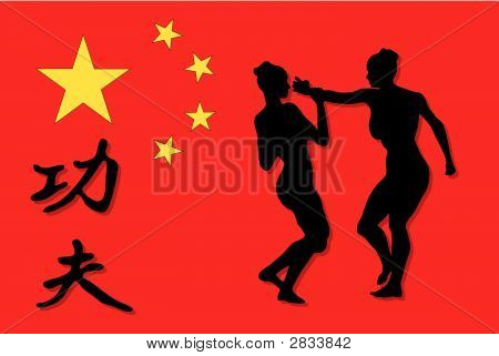 Kung Fu Illustration - Vector