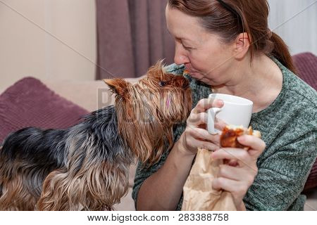 Dog Playing With A Woman