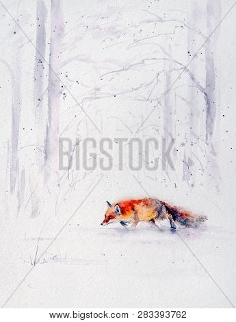 Winter Scene From The Wild Nature- Red Fox Running  In White Snow.picture Created With Watercolors.