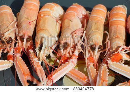 Fresh Cooked Nephrops On A Gray Plate