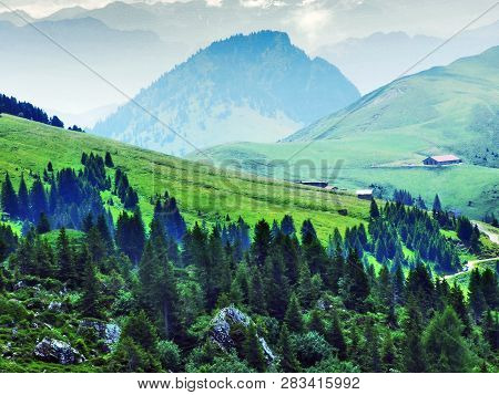 Alpine Pastures And Meadows On The Slopes Of Alvier Peak In The Appenzell Alps Mountain Range - Cant