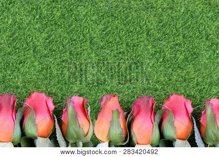 Red Silk Roses And Artificial Green Grass Form A Bottom Border. Good For The Running Of The Thorough