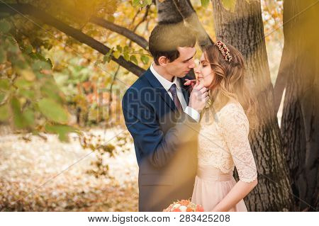 Bride And Groom Hugging In A Forest In The Autumn Forest, Weddin
