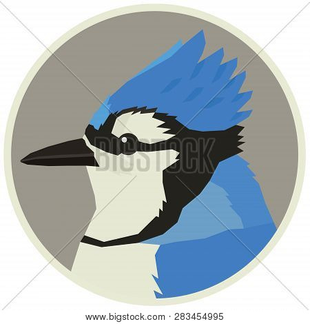 Blue Jay Bird Wildlife Vector Animals Round Frame Set