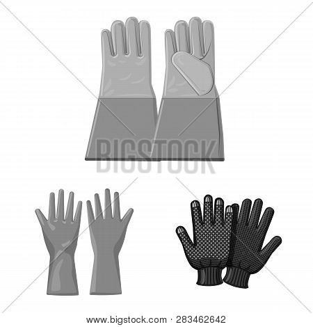 Vector Design Of Glove And Winter Logo. Set Of Glove And Equipment Vector Icon For Stock.
