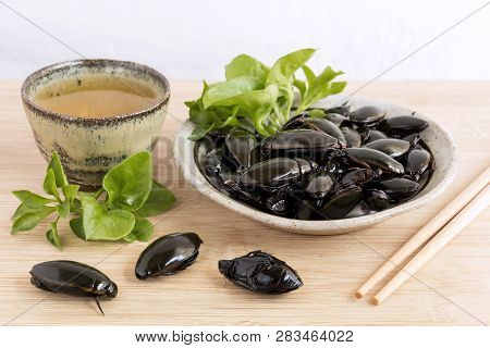 Predaceous Diving Beetle Or True Water Beetle. Insects Food For Eating And Cooking Fried Or Baked On