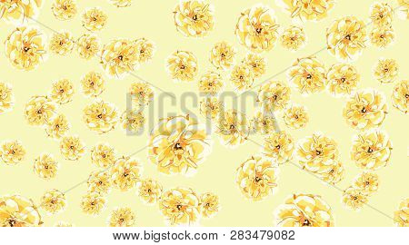 Pastel Roses Or Peony, Floral Seamless Pattern. Watercolor Flowers In Vintage Style. Wedding Print I