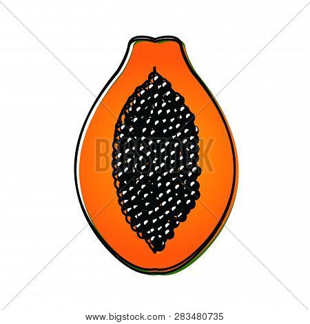 Isolated Cut Papya Image, Vector Illustration Design