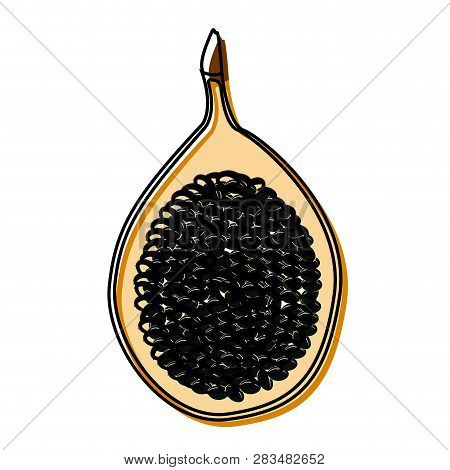 Isolated Cut Pasion Fruit Image, Vector Illustration Design