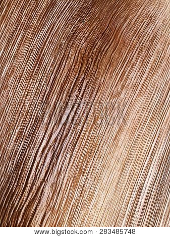 The Structure Of Piece Of Wood. Shot From Close View.