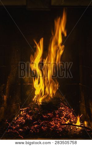 Dark Background Bonfire From Branches. Flame And Sparks