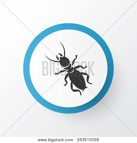 Thermit Icon Symbol. Premium Quality Isolated Termite Element In Trendy Style.