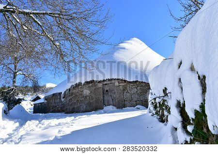 Piornedo, Ancares, Lugo Province, Galicia, Spain. Ancient palloza houses made with stone and straw with snow, ice and icicles. Snowy mountain village with trees, blue sky, sunny day.
