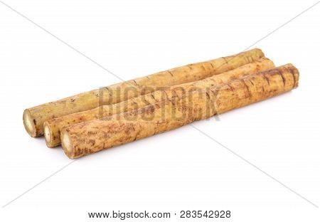 Fresh Burdock Root Or Gobo On White Background