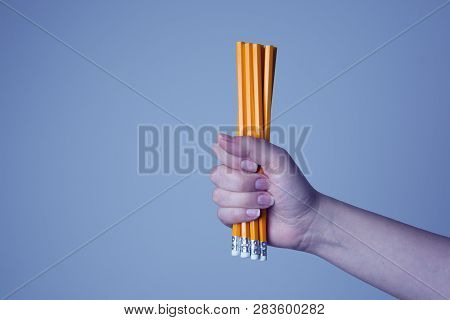 Human Hand Holding Yellow Pencils, Isolated. Toned. Copy Space. Office Suplies. We Are Hirring