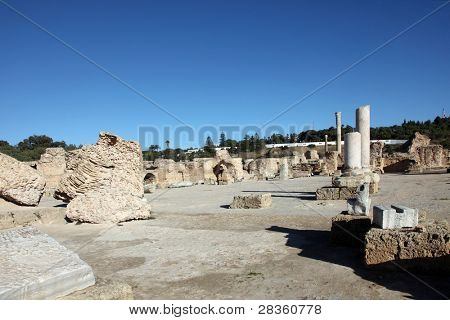 Tunisia. Ancient Carthage. The Antonine Baths