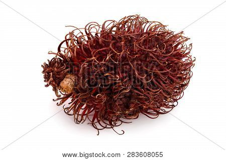 Rambutan Isolated On White Background. Tropical Fruit. Nephelium Lappaceum