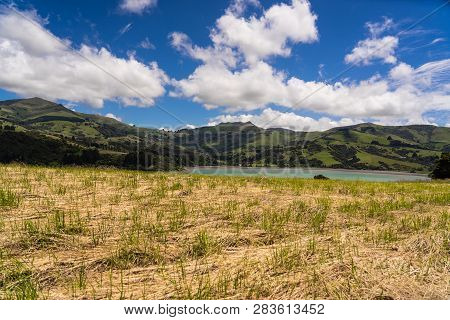 View From The Onawe Track In New Zealand, Amazing Ocean Bay In Akaroa New Zealand, Onawe Walkway Wit
