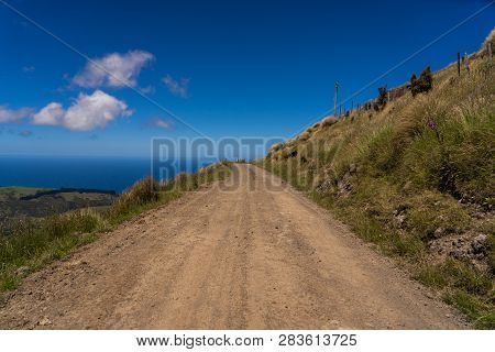 Lonely Road To The Ocean In Akaroa New Zealand,